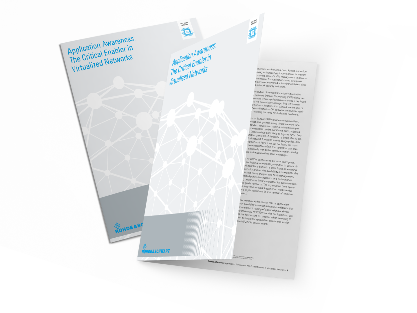 RS image resources whitepaper DPI in virtual networks
